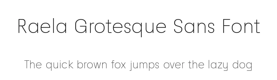 Raela Grotesque Sans Font by Lettertype Studio — Sans Serif Font