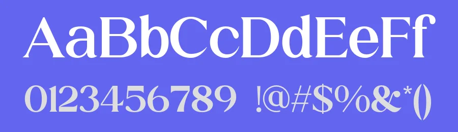 Raffin Font by roomspace.cl — Serif Font — thumbnail 3