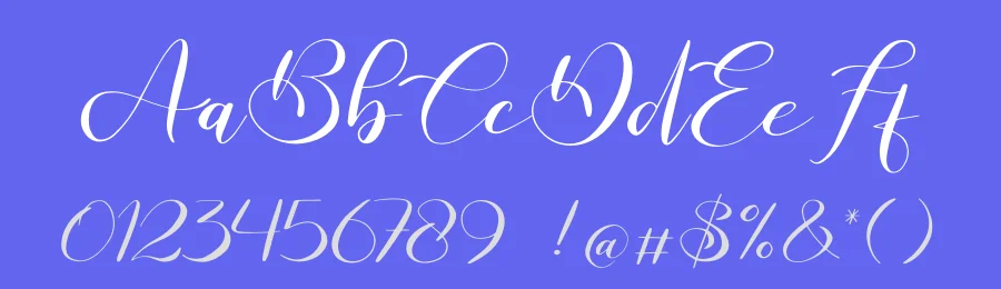 Raghide Script Font by Gracetype Studio — Script Handwritten Font — thumbnail 3