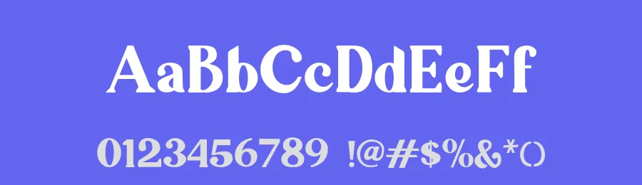 Ragila Serif Font by Vultype Co. — Serif Font — thumbnail 3