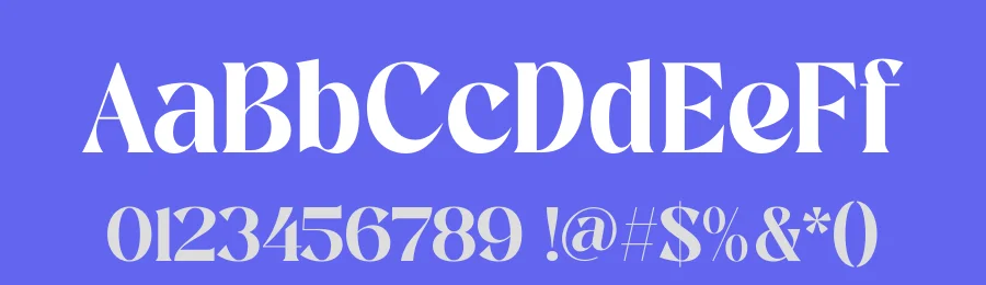 Ragiles Chuky – Bold Serif Display Font by timelesstype.co — Display Font — thumbnail 3
