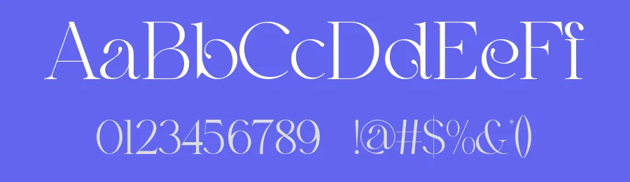 Raiken Font by ErmediaStudio — Serif Font — thumbnail 3