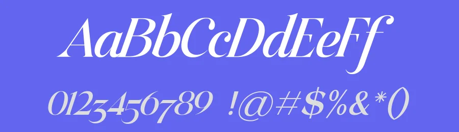 Raillouise Font by Heinzel Std. — Serif Font — thumbnail 3