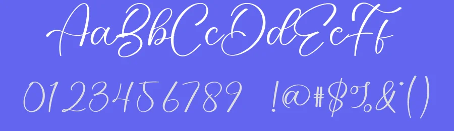 Rainday Calligraphy Font by creativeletter — Script Handwritten Font — thumbnail 3