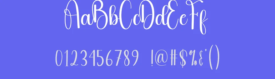 Rainday Calligraphy Font by andikastudio — Script Handwritten Font — thumbnail 3