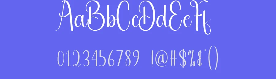 Rainday Calligraphy Font by andikastudio — Script Handwritten Font — thumbnail 3