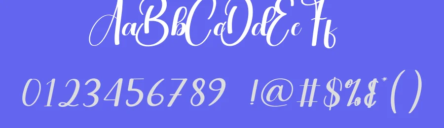 Rainday Calligraphy Font by andikastudio — Script Handwritten Font — thumbnail 3