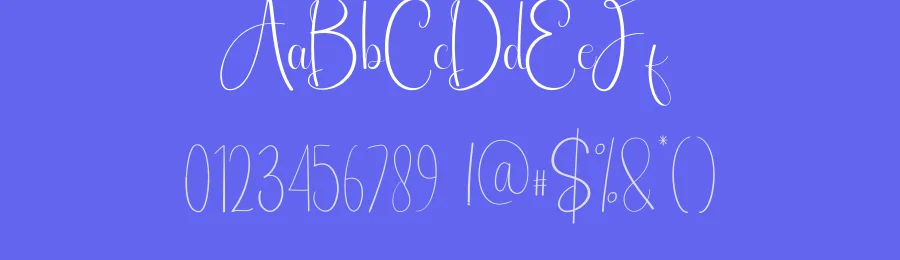 Rainday Calligraphy Font by andikastudio — Script Handwritten Font — thumbnail 3
