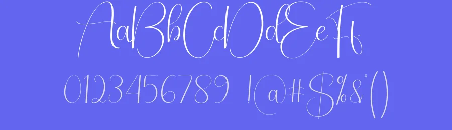 Rainday Script Typeface by creativeletter — Script Handwritten Font — thumbnail 3