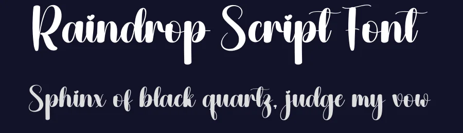 Raindrop Script Font by creativeletter — Script Handwritten Font — thumbnail 2