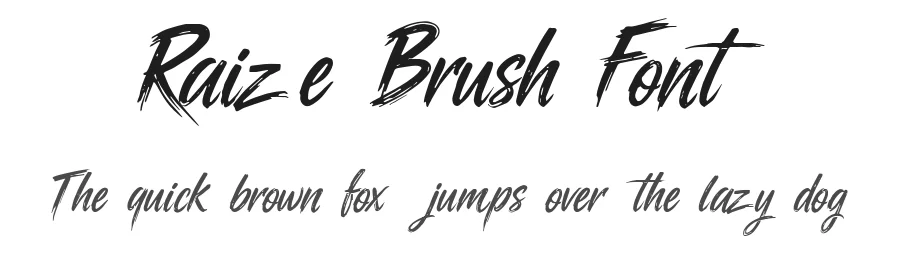 Raize Brush Font by WAP — Script Handwritten Font