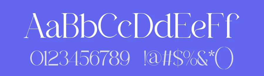 Raleny Serif Font by ErmediaStudio — Decorative Font — thumbnail 3