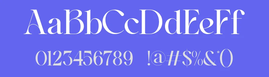 Ranelo Font by ErmediaStudio — Serif Font — thumbnail 3