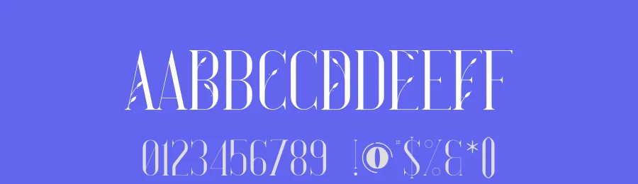 Rani Font by vpcreativeshop — Display Font — thumbnail 3