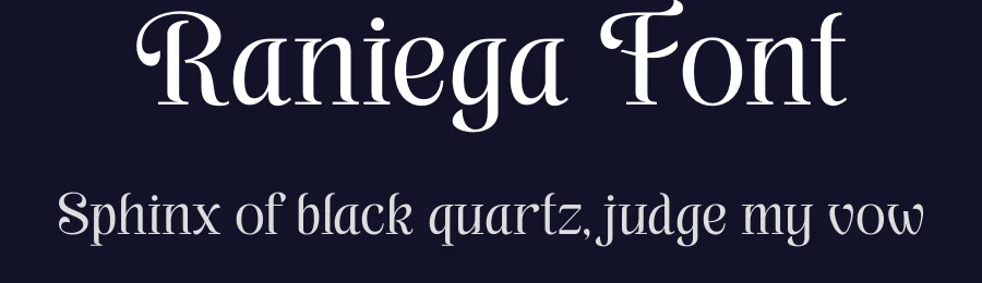 Raniega Font by Rantautype — Serif Font — thumbnail 2