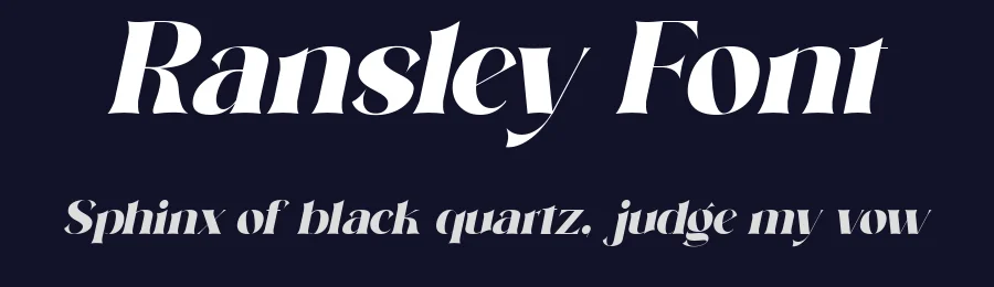 Ransley Font by Muksal Creative — Serif Font — thumbnail 2