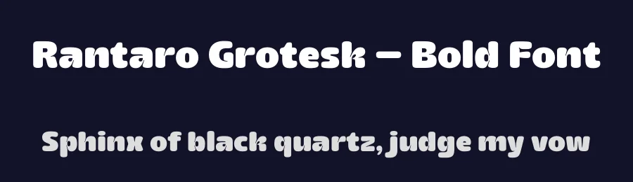 Rantaro Grotesk – Bold Font by limitype — Display Font — thumbnail 2