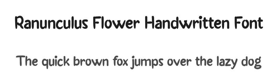 Ranunculus Flower Handwritten Font by andikastudio — Script Handwritten Font