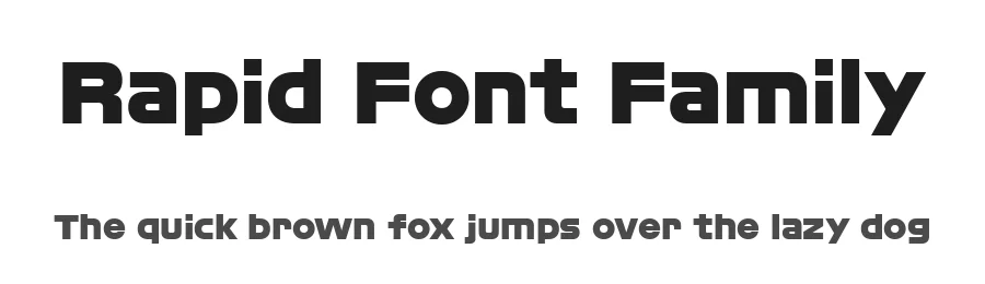 Rapid Font Family by sourcetype — Sans Serif Font