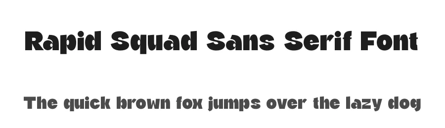 Rapid Squad Sans Serif Font by timelesstype.co — Display Font