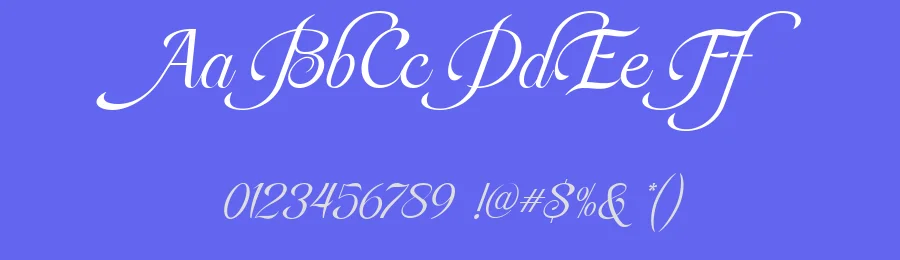 Rapiola Font by Say Studio — Script Handwritten Font — thumbnail 3