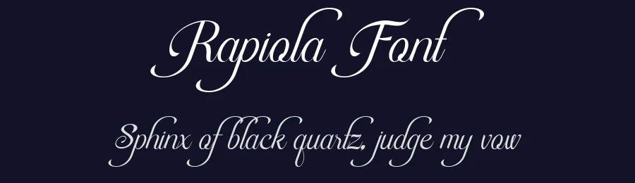 Rapiola Font by Say Studio — Script Handwritten Font — thumbnail 2