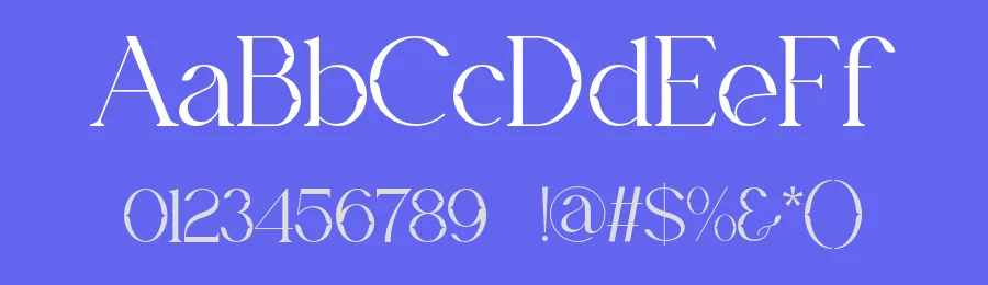 Rasefa Font by SlideShoot — Serif Font — thumbnail 3