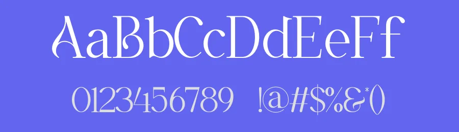 Raseko Font by ErmediaStudio — Serif Font — thumbnail 3