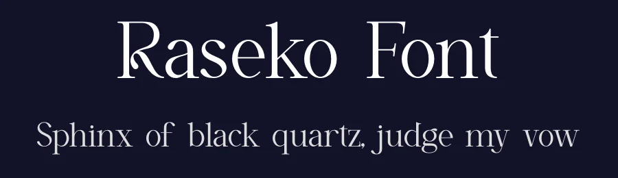 Raseko Font by ErmediaStudio — Serif Font — thumbnail 2