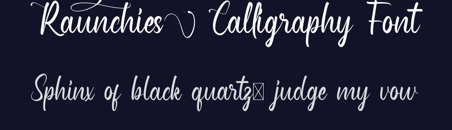 Raunchies Calligraphy Font by VinType — Script Handwritten Font — thumbnail 2