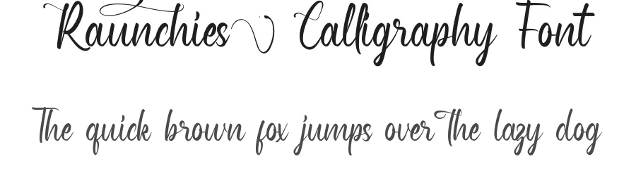 Raunchies Calligraphy Font by VinType — Script Handwritten Font