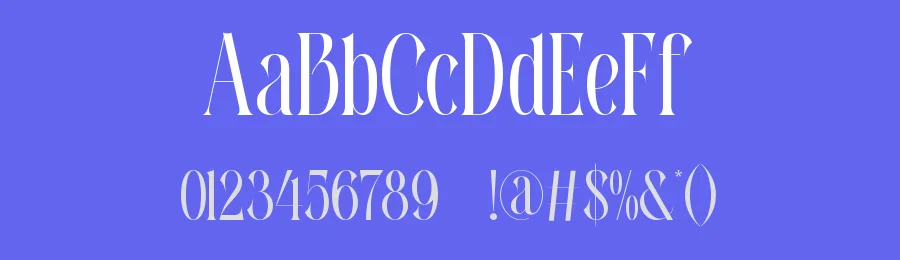 Ravemy || Elegant Classy Serif Font by ErmediaStudio — Display Font — thumbnail 3