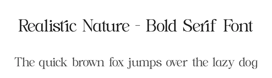 Realistic Nature – Bold Serif Font by timelesstype.co — Display Font