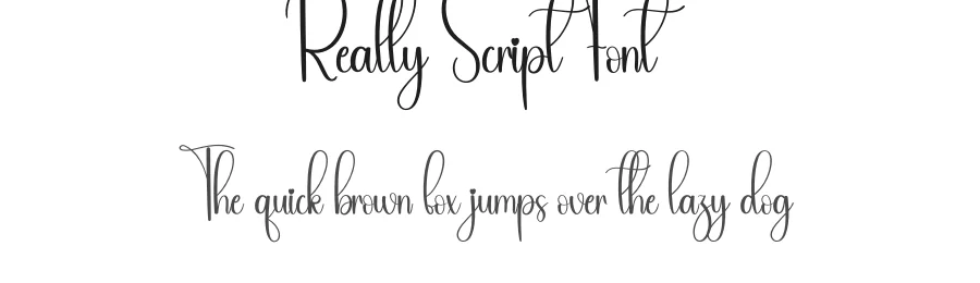 Really Script Font by andikastudio — Script Handwritten Font