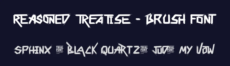 Reasoned Treatise – Brush Font by 177Studio — Script Handwritten Font — thumbnail 2