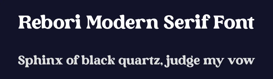 Rebori Modern Serif Font by Storytype — Decorative Font — thumbnail 2