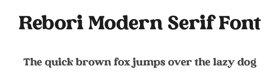 Rebori Modern Serif Font by Storytype — Decorative Font