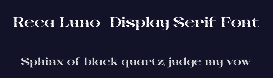 Reca Luno | Display Serif Font by Gracetypestudio — Display Font — thumbnail 2
