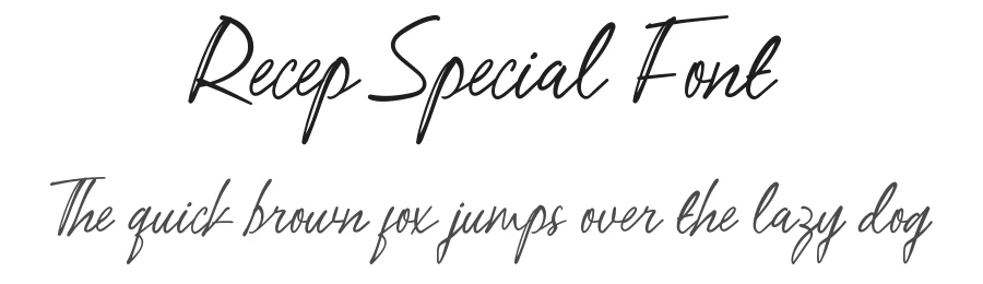 Recep Special Font by nihstudio — Script Handwritten Font