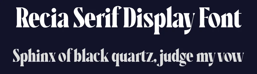 Recia Serif Display Font by Diego González — Serif Font — thumbnail 2