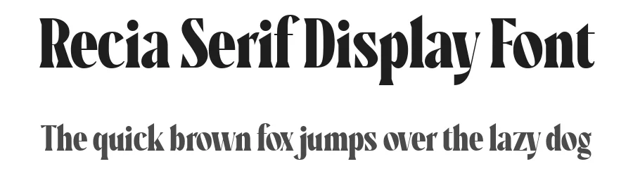 Recia Serif Display Font by Diego González — Serif Font