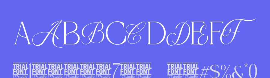 Recorded Font by 177Studio — Script Handwritten Font — thumbnail 3