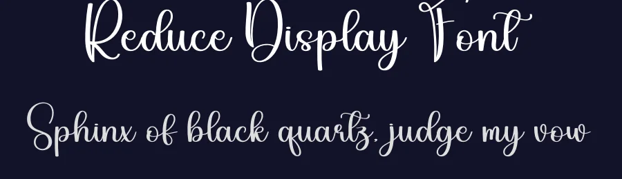 Reduce Display Font by andikastudio — Script Handwritten Font — thumbnail 2