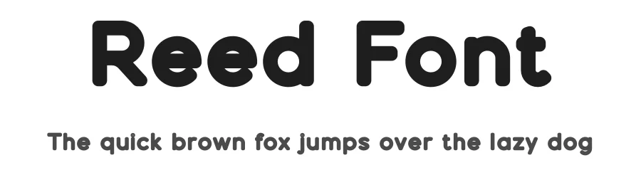 Reed Font by vpcreativeshop — Sans Serif Font