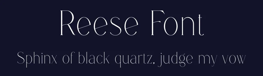 Reese Font by vpcreativeshop — Display Font — thumbnail 2