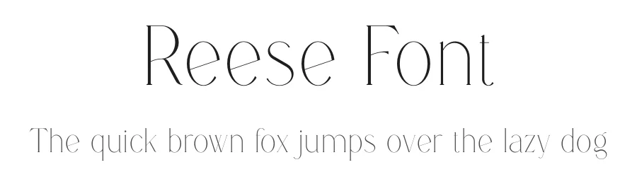Reese Font by vpcreativeshop — Display Font