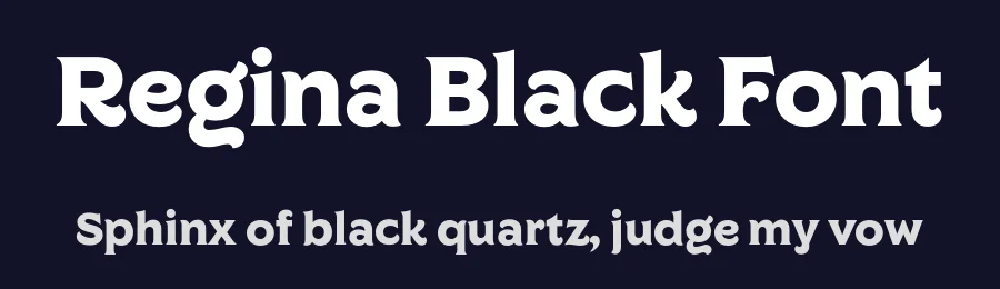 Regina Black Font by Undercase Type — Serif Font — thumbnail 2