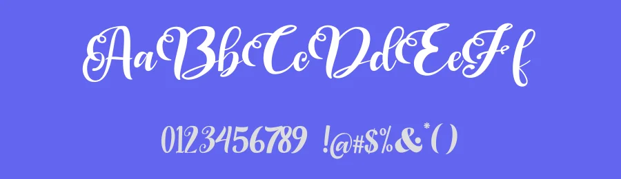 Regina Bold Script Font by yontype — Script Handwritten Font — thumbnail 3