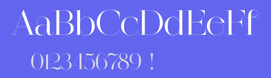 Regonia Font by Narrow Type — Serif Font — thumbnail 3