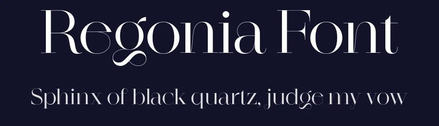 Regonia Font by Narrow Type — Serif Font — thumbnail 2